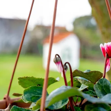 Séjour à la campagne Refugio Do Artista Viana Do Castelo