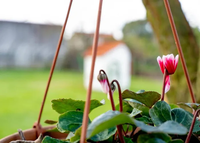 Venkovský dům Refugio Do Artista Viana Do Castelo